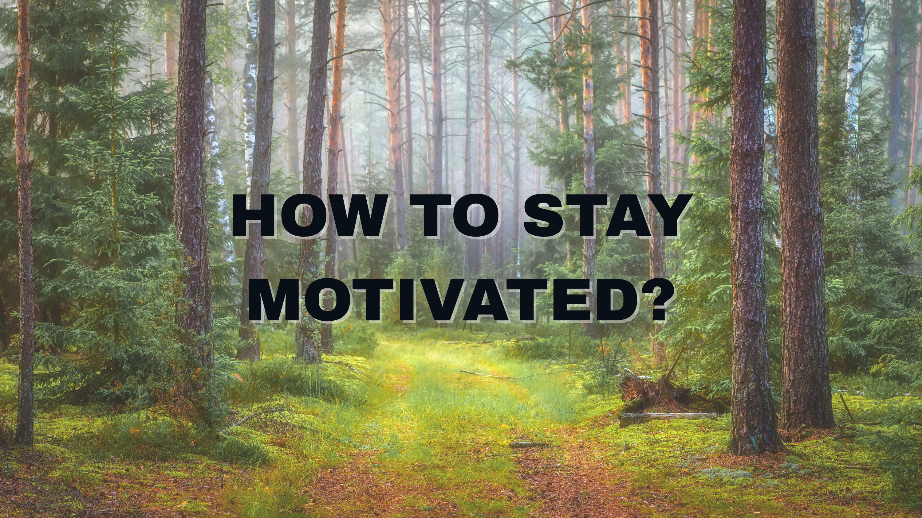 The Enduring Spirit: Strategies for Staying Motivated  During a Prolonged Job Search